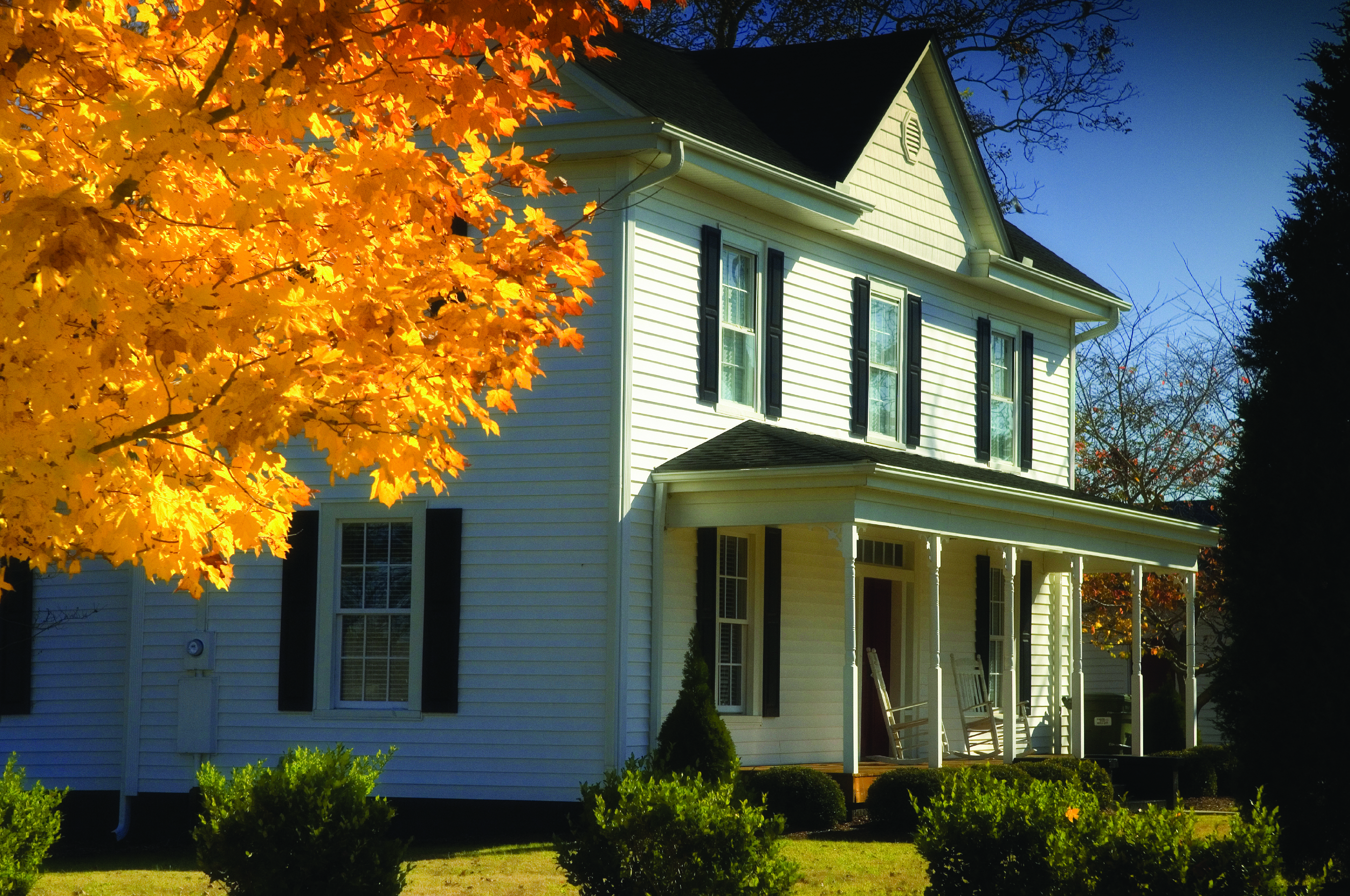 A tree with orange leaves can be seen in the left corner, A white, colonial style home is shown in a suburban neighborhood  with two chairs on the porch.