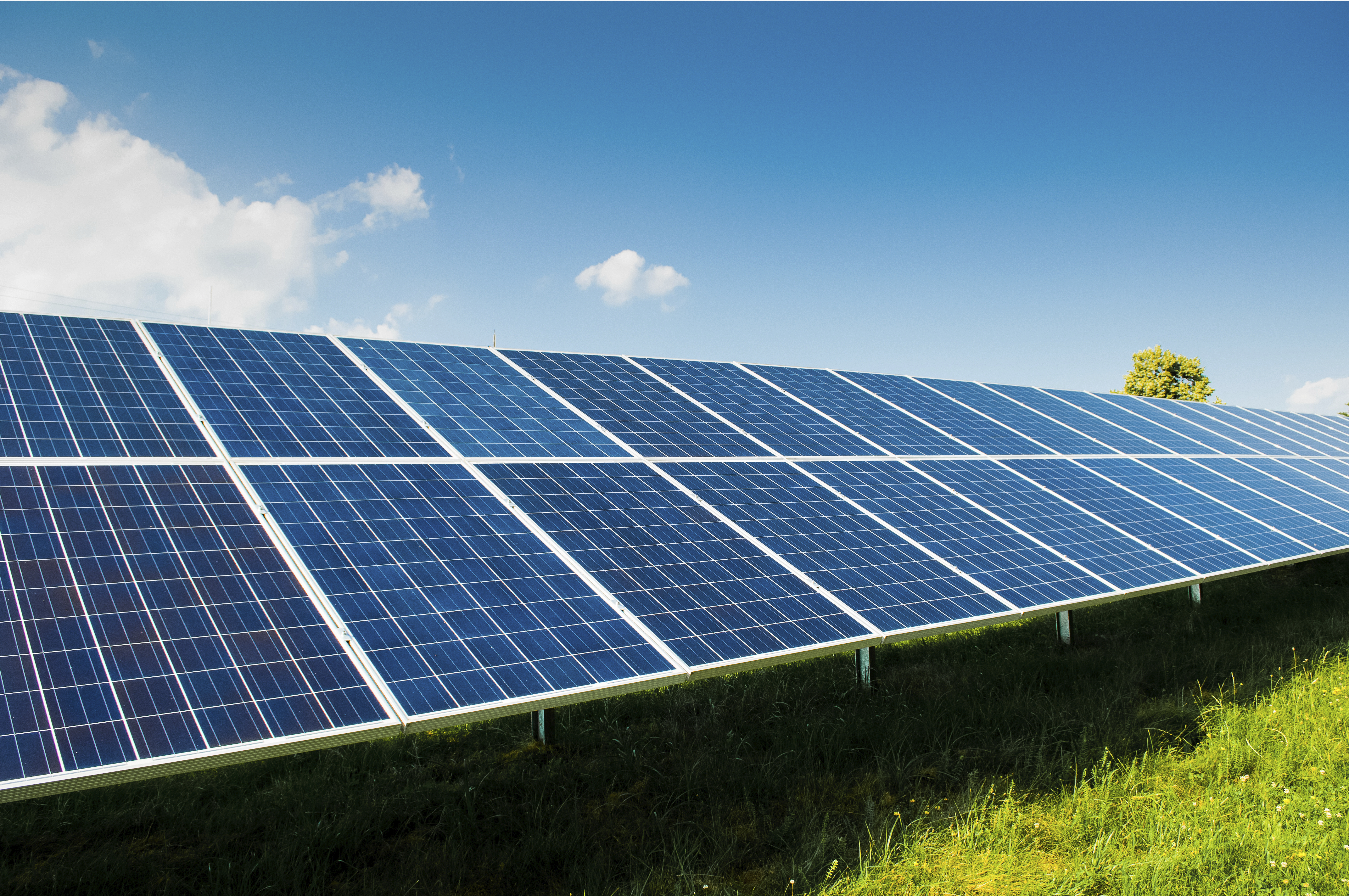 Solar panels on green grass during a sunny day.